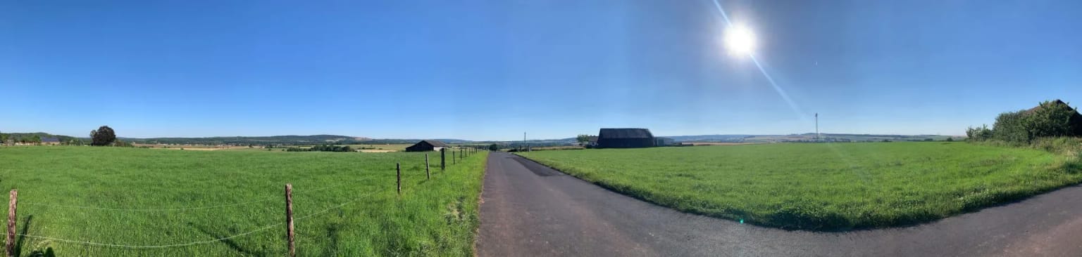 Panorama im Gegenlicht: Wiesen, ein Weg und die Sonne am blauen Himmel