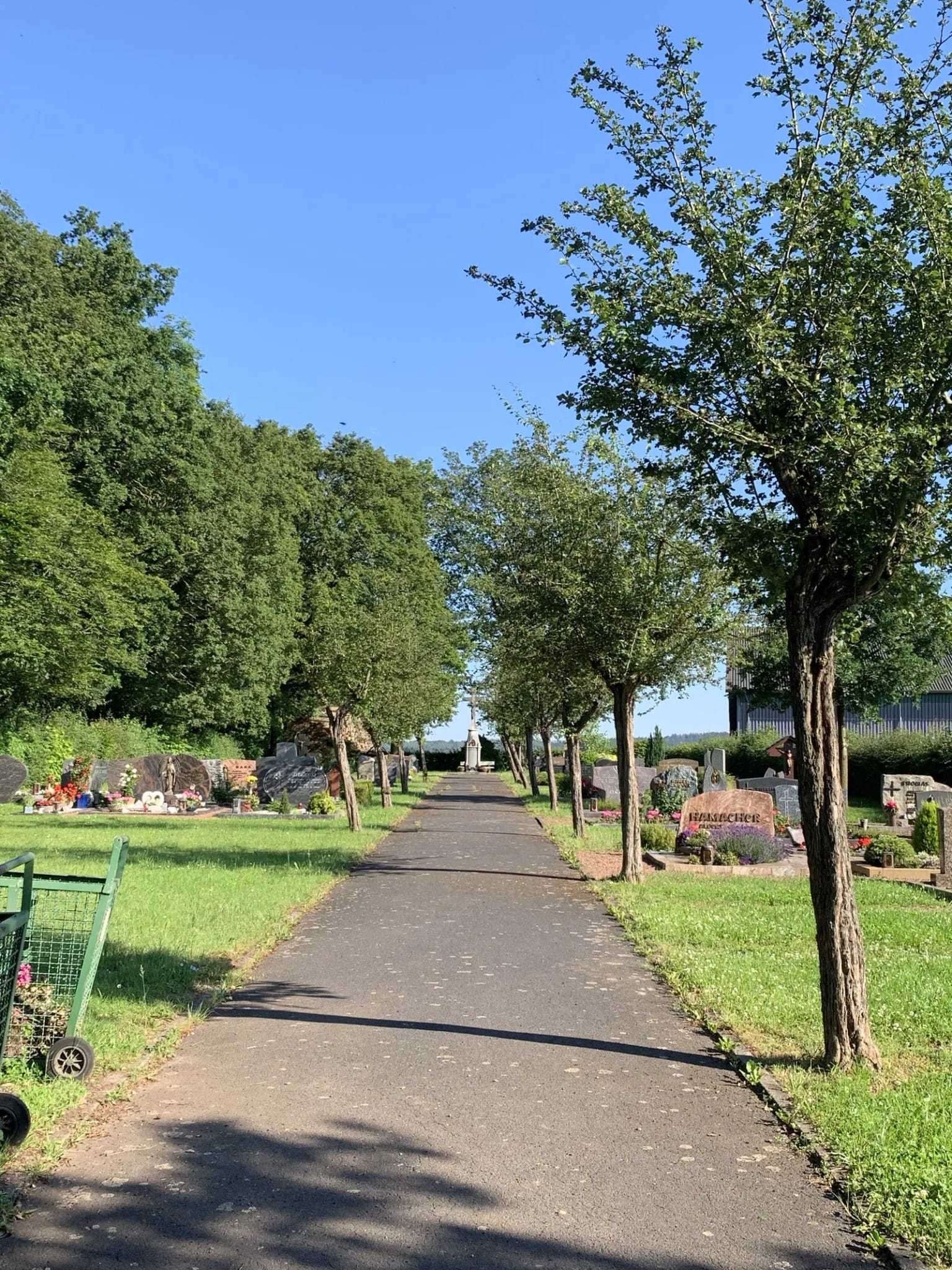 Der asphaltierte Mittelweg des Friedhofs, gesäumt von Bäumen, im Hintergrund Wald