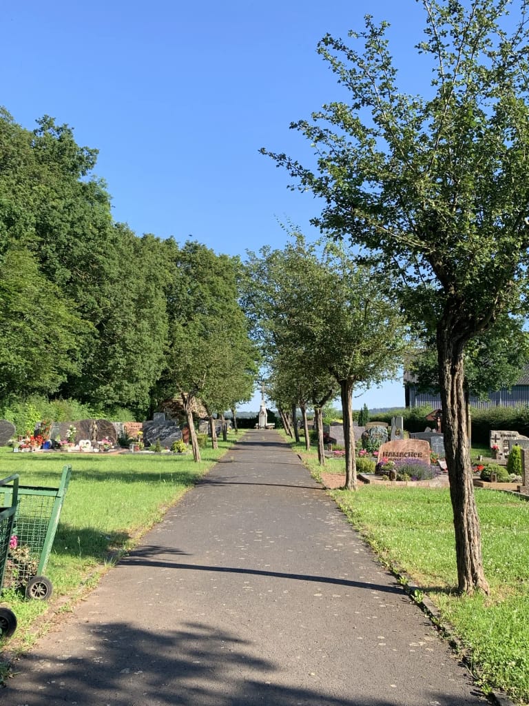 Die Allee auf dem Friedhof, ein langer Mittelweg zwischen Rotdornbäumen, dahinter Wald
