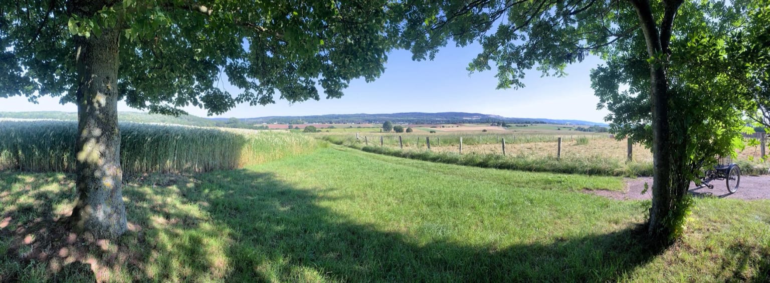 Weiter Blick über Wiesen und Felder auf Roggendorf, eingerahmt von zwei Bäumen, am Horizont Hügel